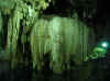 stalactites.JPG (34560 Byte)