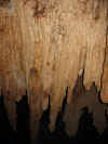 stalactites.JPG (35194 Byte)