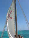 sailing2.JPG (31486 Byte)